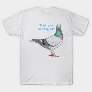 What you Looking at? Pigeon T-Shirt